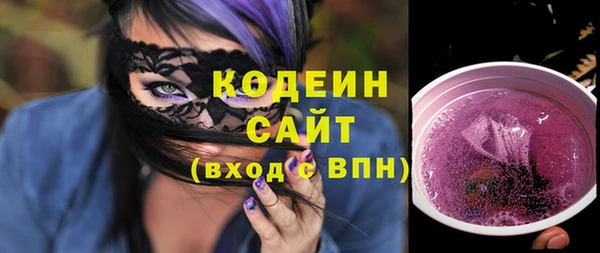 дурь Няндома
