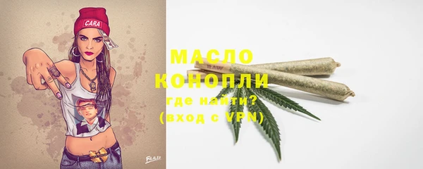 дурь Няндома