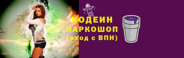 дурь Няндома