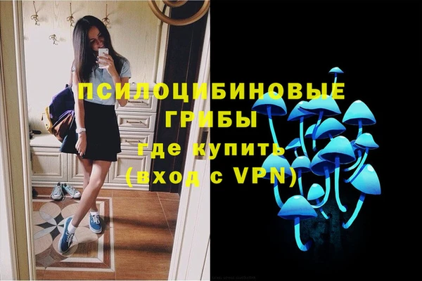 СК Нягань