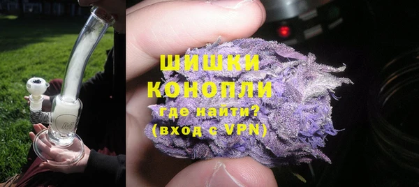 дурь Няндома
