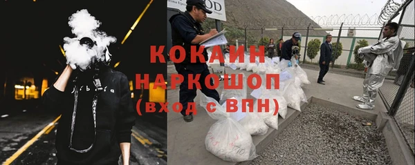 гидропоника Болотное