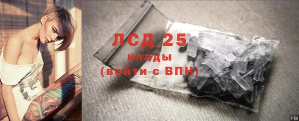 дурь Няндома