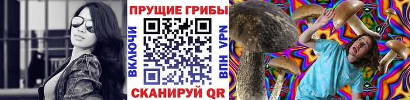 Псилоцибиновые грибы Psilocybine cubensis  наркота  mega онион  Байкальск 