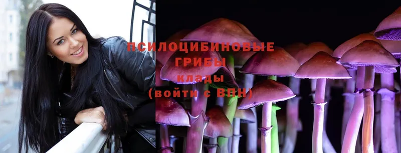 купить закладку  Байкальск  Псилоцибиновые грибы Psilocybine cubensis 